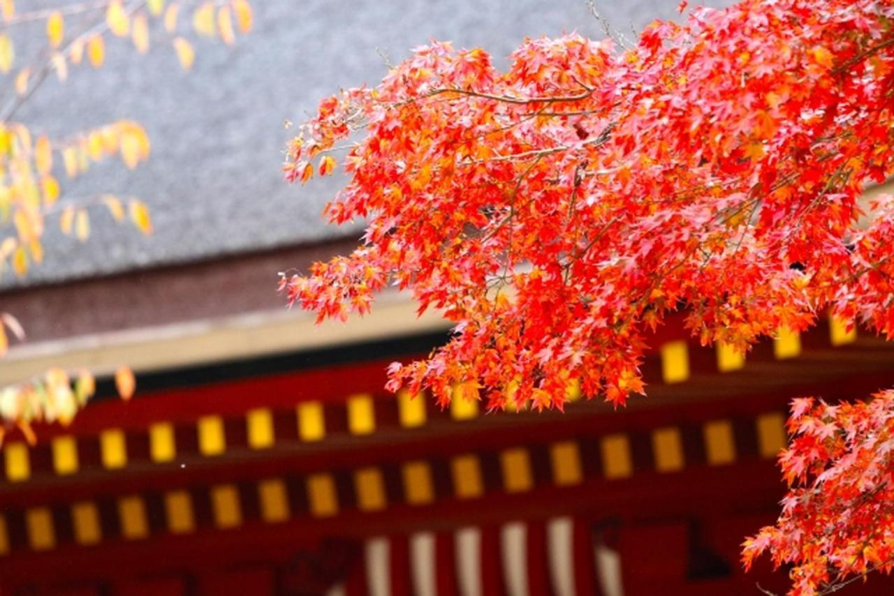 Stay Sakura Kyoto Gion Miyagawacho מראה חיצוני תמונה